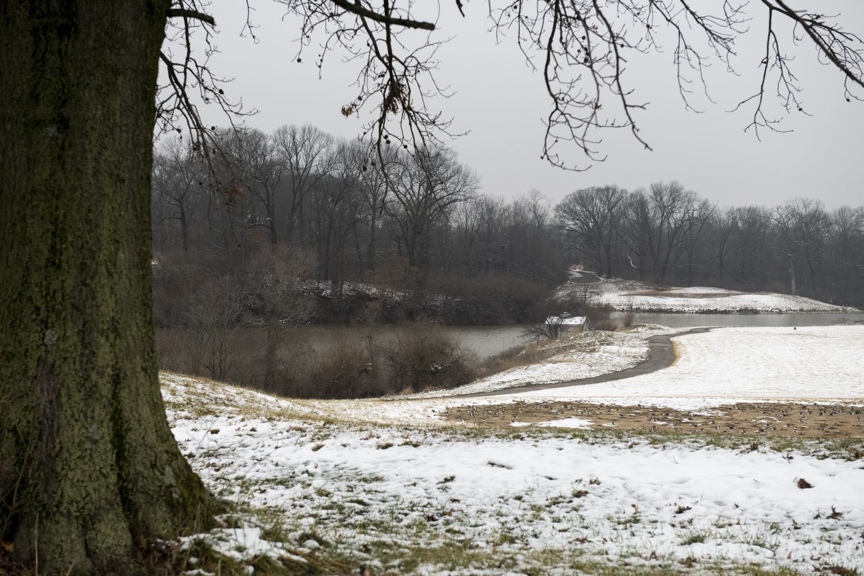 Zoo solicits public input for North Campus